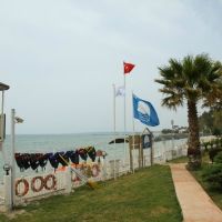 the holiday resort hotel