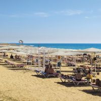 sural saray