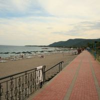 anita venus beach