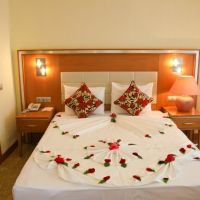 the holiday resort hotel