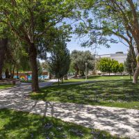 carpe mare beach resort