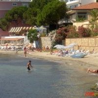 arora hotel