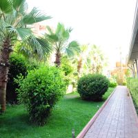 smartline white city beach hotel