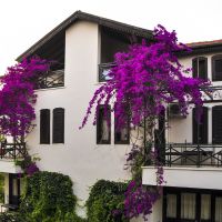 belkon hotel