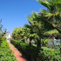 adalin resort kemer