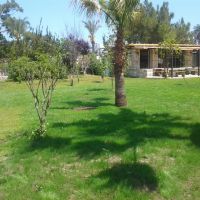 zena resort hotel