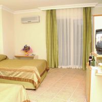 blue star hotel