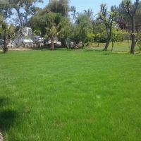 zena resort hotel