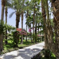 mirage park resort