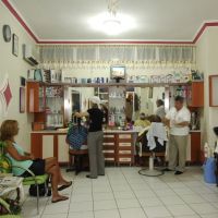 blue star hotel