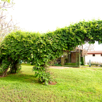 belconti resort hotel