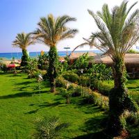 belek beach resort hotel