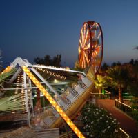 delphin deluxe resort