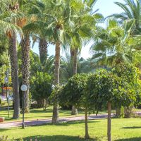 lonicera resort & spa