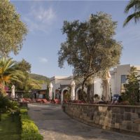 voyage torba