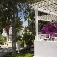 voyage torba