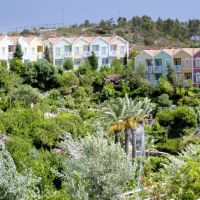 paloma club sultan ozdere
