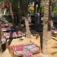 shams safaga