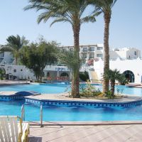 shams safaga
