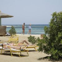 shams alam beach resort