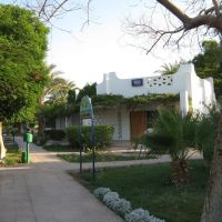 shams safaga