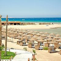 imperial shams abu soma
