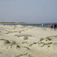shams alam beach resort