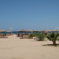 shams safaga