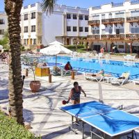 falcon naama star