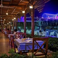 falcon naama star