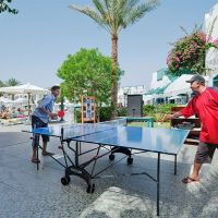 falcon namaa blue sharm el sheikh