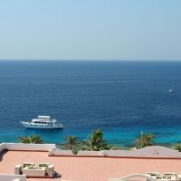 continental garden reef