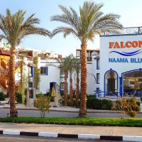 falcon namaa blue sharm el sheikh