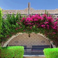 jasmine village