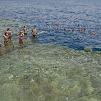 dreams beach resort sharm el sheikh