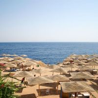 falcon naama star