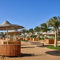 desert rose