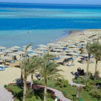 sea star beau rivage