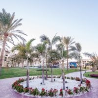 rixos seagate sharm