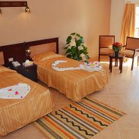 falcon naama star
