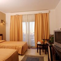 falcon naama star