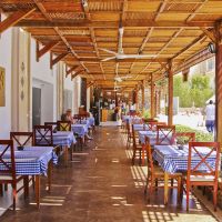 falcon naama star