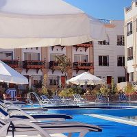 falcon naama star