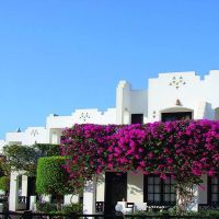 Verginia Sharm Resort & Aqua Park (ex. Verginia Sharm)