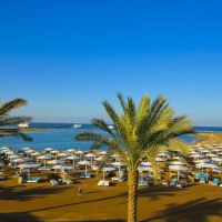 albatros dana beach hurghada