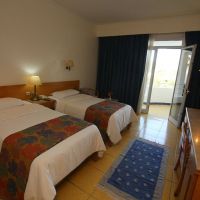 sharm reef