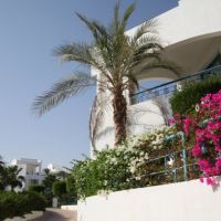 dessole royal rojana resort