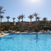 sharm reef