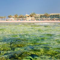 barcelo tiran sharm