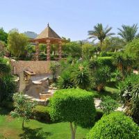 royal grand sharm